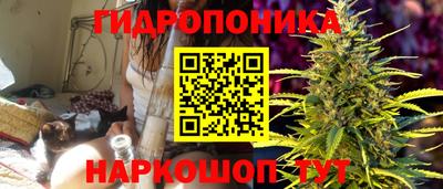 дживик Кулебаки