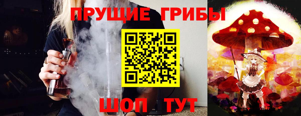 Канск  Псилоцибиновые грибы MAGIC MUSHROOMS  Вход с VPN 