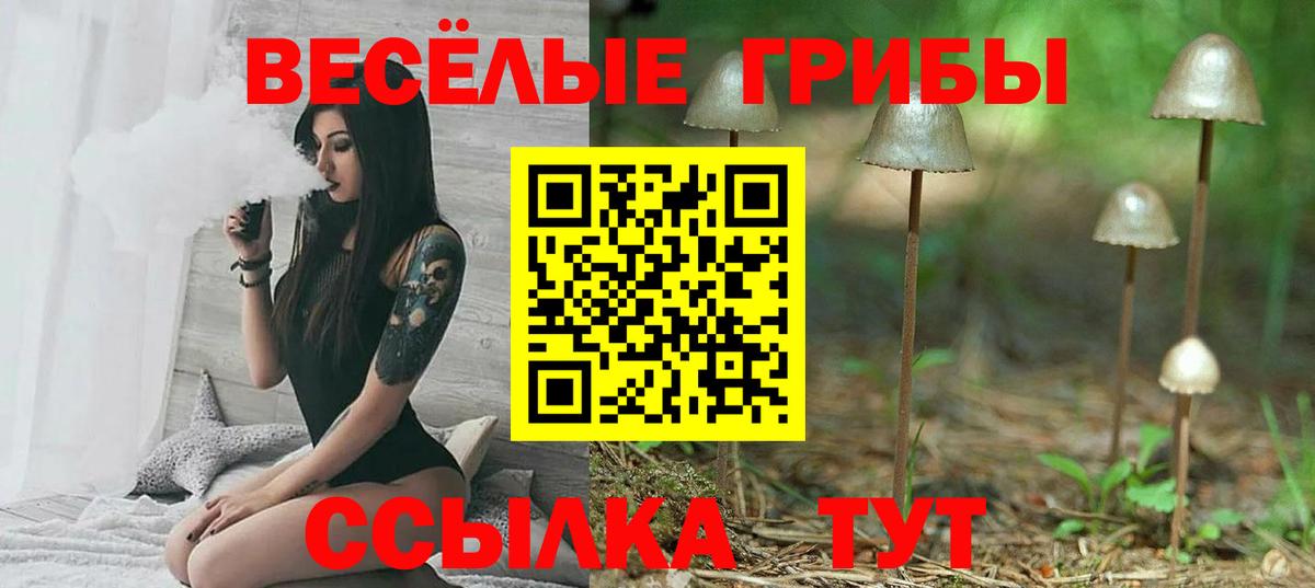 Галлюциногенные грибы GOLDEN TEACHER Канск